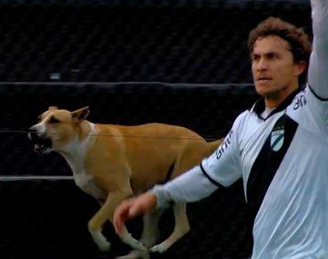 El gol del fútbol uruguayo que se hizo viral: hasta lo festejó un perro