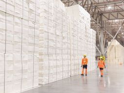 El rubro del papel fue el principal impulsor del crecimiento de la producción industrial en Uruguay. El rubro del papel fue el principal impulsor del crecimiento de la producción industrial en Uruguay.