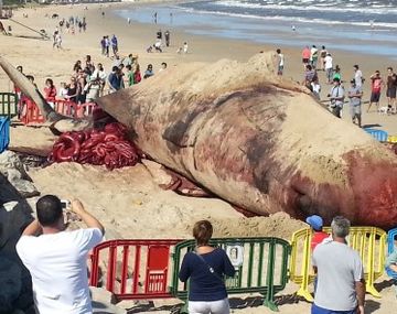 Gentileza diario El Observador.