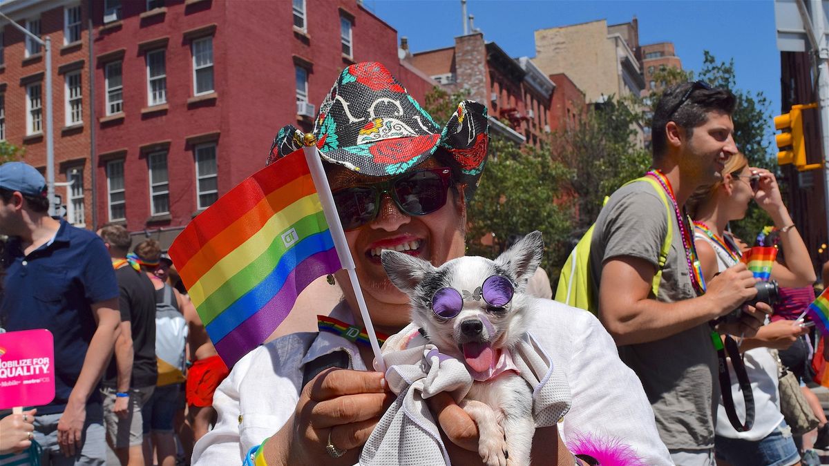 Imagen noticia completa