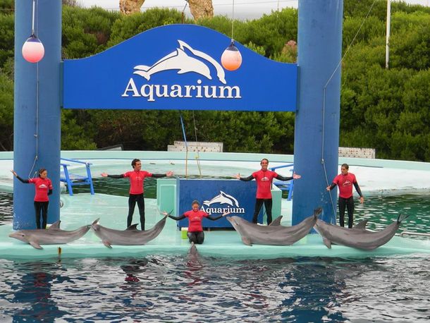 Cierra el Aquarium de Mar del Plata: cuál es el motivo y qué sucederá con los animales