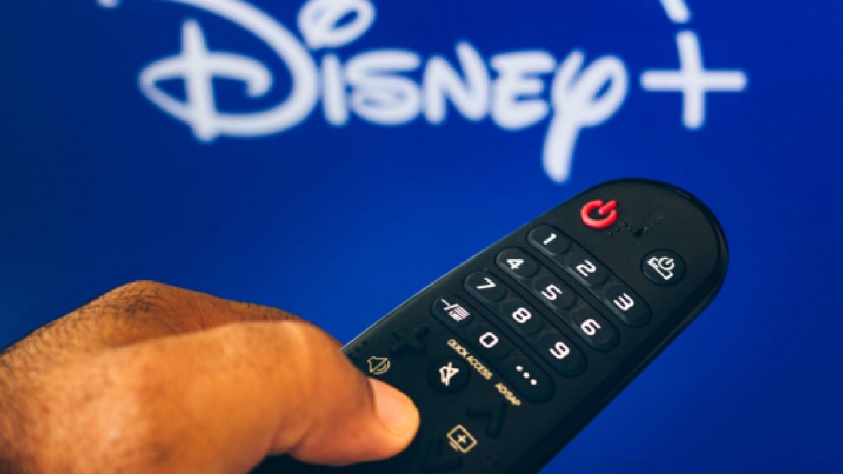 Uno Por Uno, Todos Los Estrenos De Disney + En Febrero De 2024