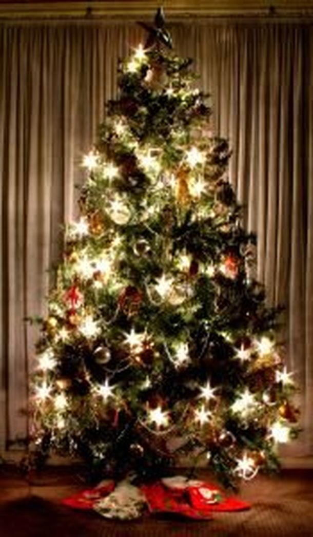 Arbol 2