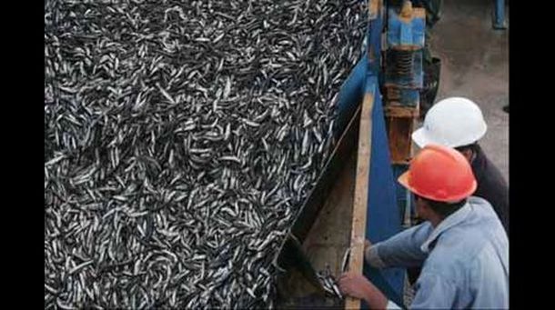 Declaran inconstitucional retenciones cobradas a una empresa pesquera