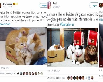 Los usuarios atestaron las redes de gatos para  que no se difundiera información