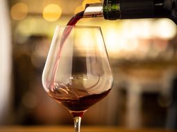 Uruguay produce casi un tercio de lo vinos Tannat del mundo. Uruguay produce casi un tercio de lo vinos Tannat del mundo.