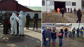 Dio negativo el ADN hecho a las camionetas de Gendarmería Dio negativo el ADN hecho a las camionetas de Gendarmería