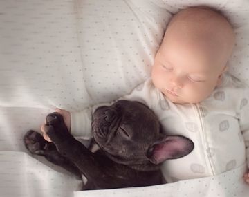 Un bebé y un bulldog francés son dos amigos inseparables
