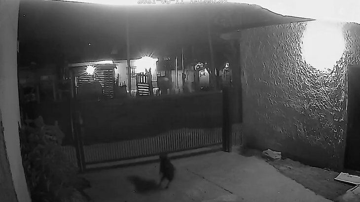 Así fue el tiroteo narco en Florencio Varela que dejó cuatro muertos