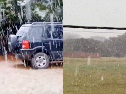 Histórica caída de nieve en Mar del Plata: en qué barrios y los impactantes videos