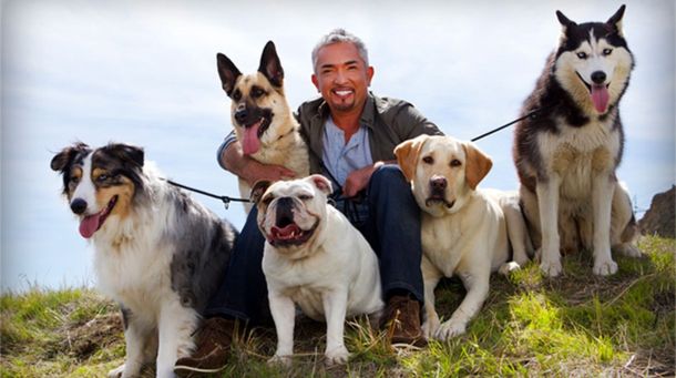 ¡Bien encantados! Los perros de Cesar Millán evitaron un robo en su casa