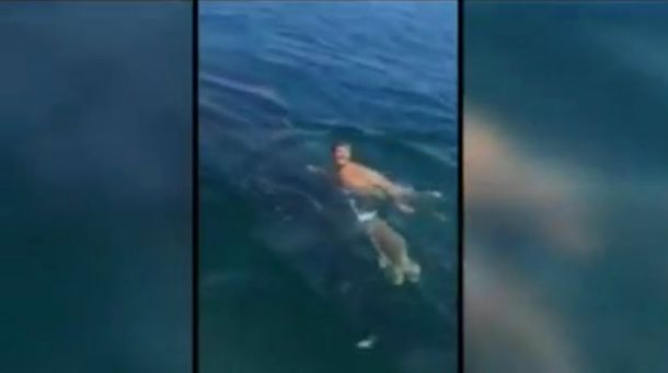 Un adolescente se subió a un tiburón ballena para dar una vuelta