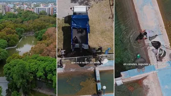 Vaciaron un lago y tuvieron que trasladar a más de mil peces en San Juan