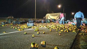un camion cargado de morrones volco sobre la panamericana un camion cargado de morrones volco sobre la panamericana
