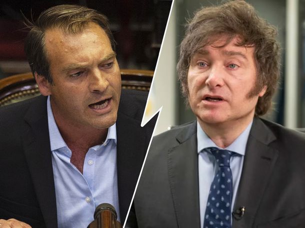 Payaso y chucky mal diagnosticado: críticas a Javier Milei en el Senado