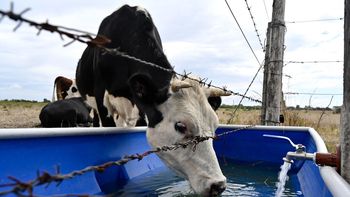 El gobierno extendió la emergencia agropecuaria hasta septiembre. El gobierno extendió la emergencia agropecuaria hasta septiembre.