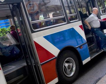 Colectivos
