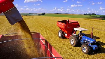 la politica de la intervencion ha fracasado en el trigo la politica de la intervencion ha fracasado en el trigo