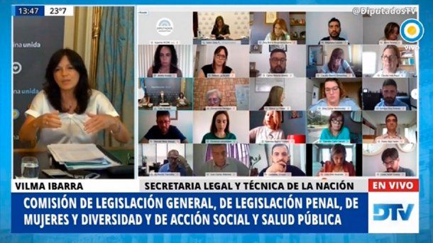 Exposición de Vilma Ibarra en el Congreso de la Nación por la ley de aborto legal.