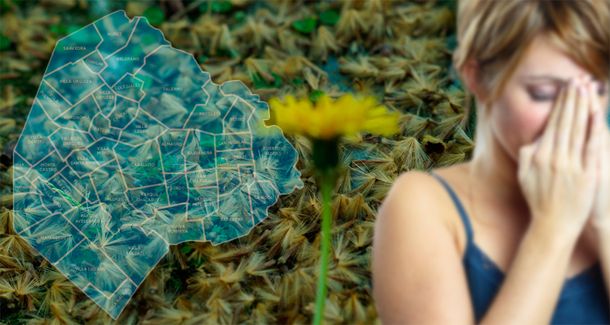 Llega la Primavera: ¿cómo evitar las zonas más peligrosas para las alergias?