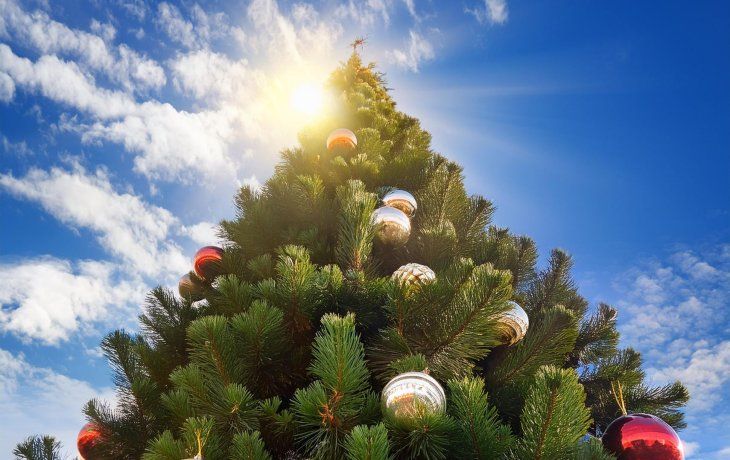 &nbsp;El ritual con sal para hacer en Navidad que elimina las malas vibras