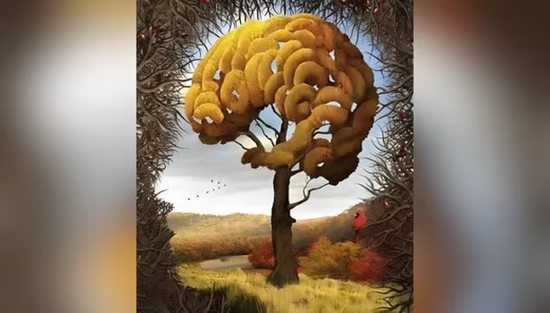 Test viral revela detalles de tu inteligencia según lo primero que veas en la imagen