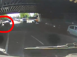 VIDEO: Un ciclista le hizo fuck you a un automovilista y éste lo atropelló