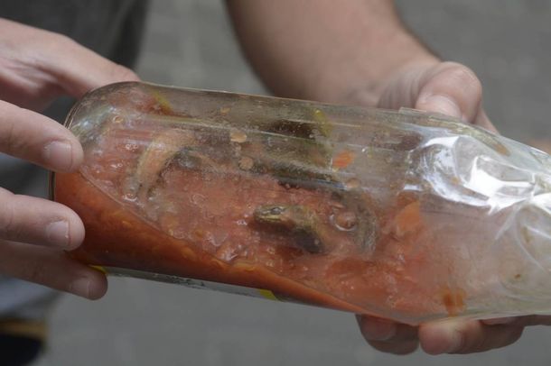 Insólito: encontraron una víbora adentro de una botella de salsa en Mendoza