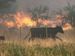 Así es el incendio en La Pampa