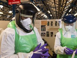 rusia estima que en seis meses estara la vacuna contra el ebola rusia estima que en seis meses estara la vacuna contra el ebola