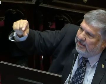 Tensión: Mayans comparó la reforma con un campo de concentración y estalló Bullrich