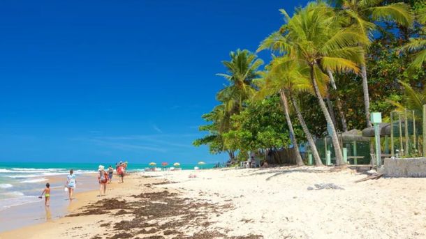 Arraial D’Ajuda presenta una población que ronda los 20.000 habitantes. Arraial D’Ajuda presenta una población que ronda los 20.000 habitantes.