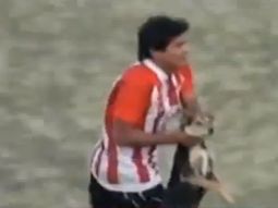 un animal: lo expulsaron por agredir a un perro un animal: lo expulsaron por agredir a un perro