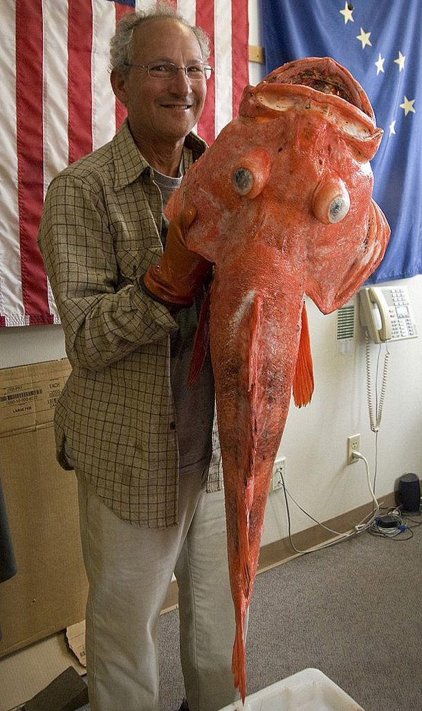 ¿Es un pescado de 200 años?