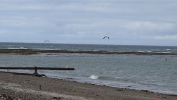 reto a su amigo a nadar en el mar y murio ahogado reto a su amigo a nadar en el mar y murio ahogado