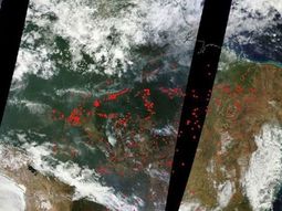 En vivo: el mapa del catastrófico incendio en el Amazonas
