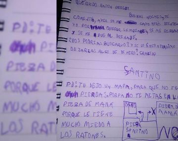 La tierna carta de un nene de 6 años al Ratón Pérez