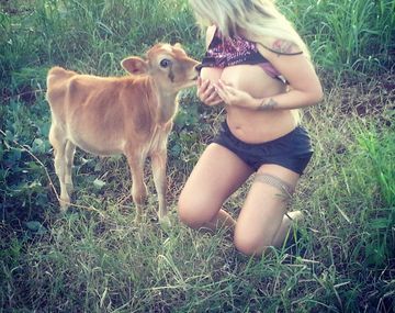 Polémica en Brasil por una modelo que amamantó a un ternero