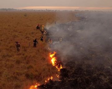 Gentileza: Argentina Forestal&nbsp;