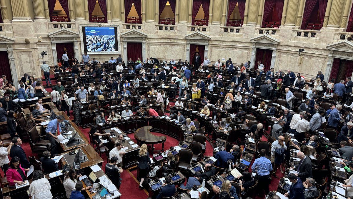 Tras El Escándalo El Oficialismo Presentará Un Proyecto Para Retrotraer La Suba A Diputados Y 5215