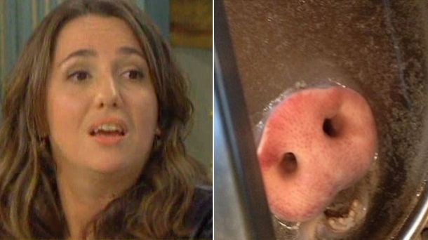 Narda Lepes volvió a encender la polémica y habló de su foto del cerdo en la olla: Que se jodan