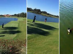 video: jugaba al golf, hizo su tiro y mato a un pajaro en el aire video: jugaba al golf, hizo su tiro y mato a un pajaro en el aire