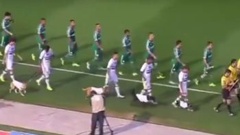 el increible partido de los perros de san pablo contra palmeiras el increible partido de los perros de san pablo contra palmeiras