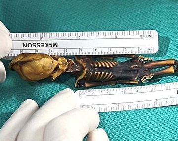 Un extraterrestre encontrado hace 10 años tiene ADN humano