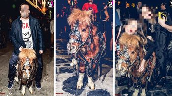 maltrato animal: un boliche puso un pony para que jueguen sus clientes maltrato animal: un boliche puso un pony para que jueguen sus clientes