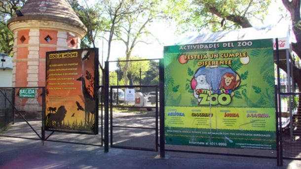 Responsabilizan al Gobierno porteño por la muerte de una jirafa en el zoológico