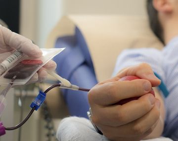 La donaci&oacute;n de sangre cay&oacute; 80% en eel pa&iacute;s