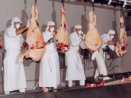 Carniceros. Imagen de archivo Carniceros. Imagen de archivo