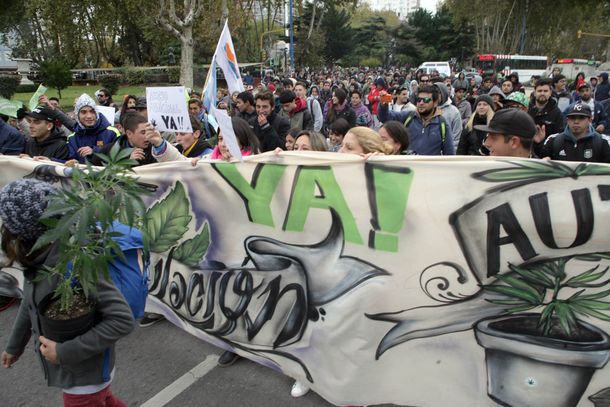 Las fotos de la marcha mundial de la marihuana en todo el país