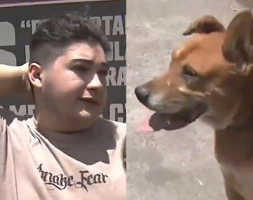 El desesperado pedido de un joven para que adopten a su perro tras un desalojo